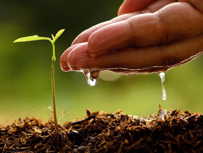 Diploma in Agriculture